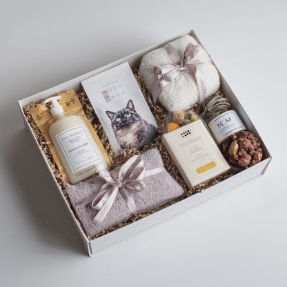 Treats & Rewards Cat Hamper
