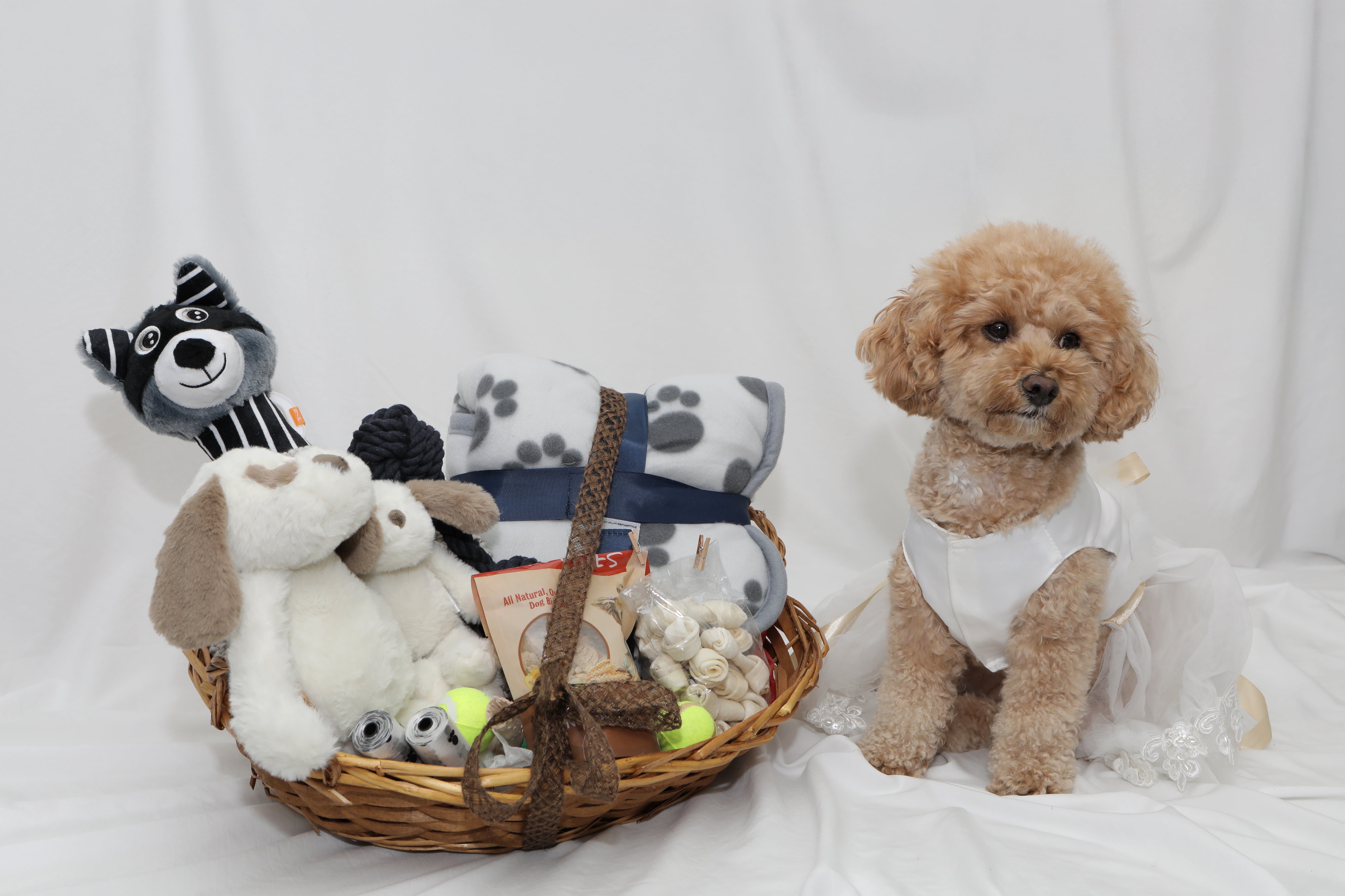 Pampered Paws Basket